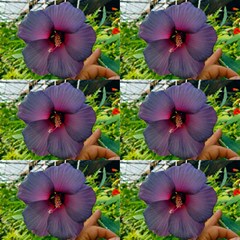Test Fabric Upload 001 by willbargerarts