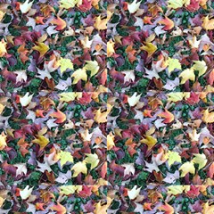 Scattered Leaves By Parking Close Up Fabric by SusanFranzblau