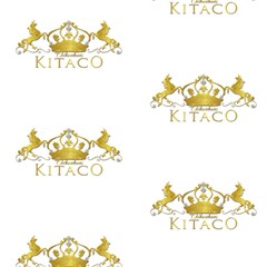 Kitaco Logo Drop Shadow Fabric by jennyA