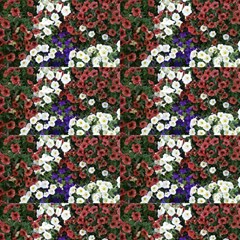 20200819 065202 Fabric by machell1962