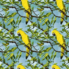 Tropical Birds by GardenOfOphir